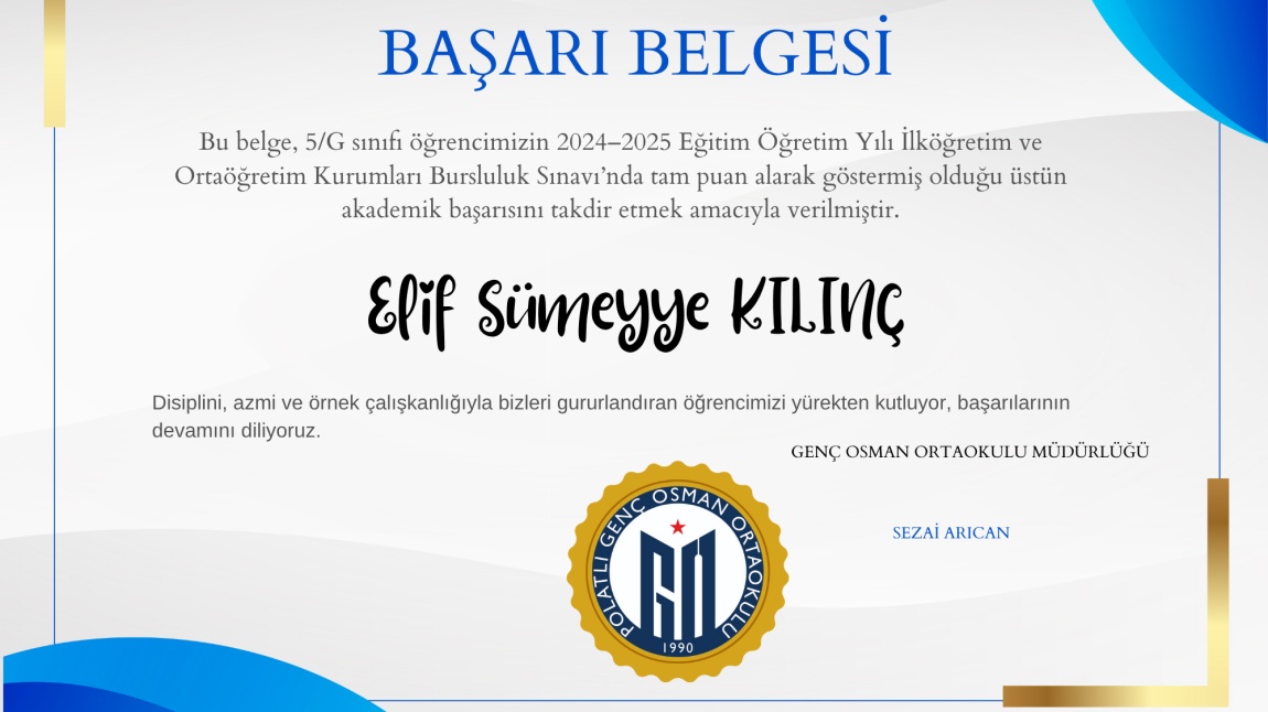 Elif Sümeyye Kılınç’tan Bursluluk Sınavında Büyük Başarı!